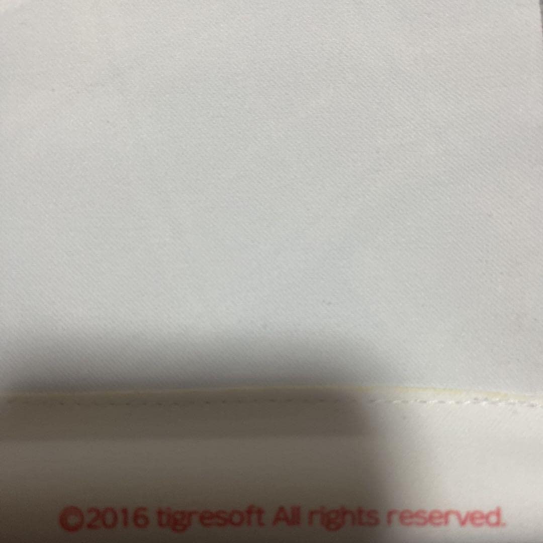 レミニセンス タペストリー 10枚セット Amazon.co.jp: レミニセンス 完全限定生産 片桐愛佳B2